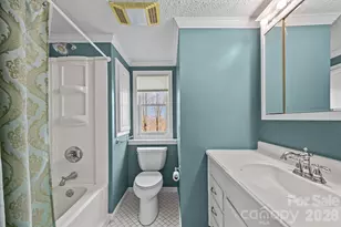 6777 Pinnacle Mountain Rd, Zirconia, NC 28790 - Photo 21