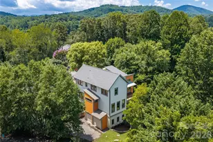 31 Grey River Run, Woodfin, NC 28804 - Photo 31