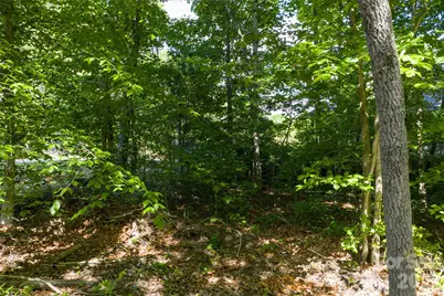 9999 Mount Allen Heights, Black Mountain, NC 28711 - Photo 11