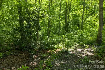 9999 Mount Allen Heights, Black Mountain, NC 28711 - Photo 9