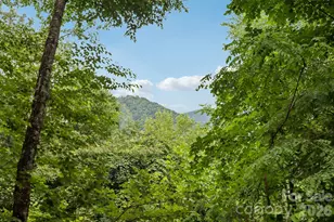 1061 Setzer Cove Rd, Maggie Valley, NC 28751 - Photo 41
