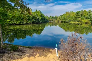 3339 Kingshire Way, Clover, SC 29710 - Photo 35