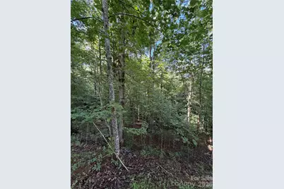 0 Greenhill Farms Drive #15, Rutherfordton, NC 28139 - Photo 5
