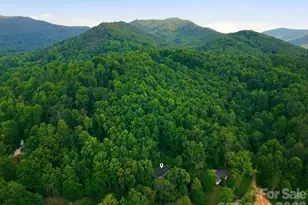 55 Twin Oaks Ln, Spruce Pine, NC 28777 - Photo 41