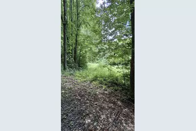 0 Dry Creek Road, Robbinsville, NC 28771 - Photo 15