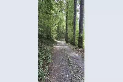 0 Dry Creek Road, Robbinsville, NC 28771 - Photo 13