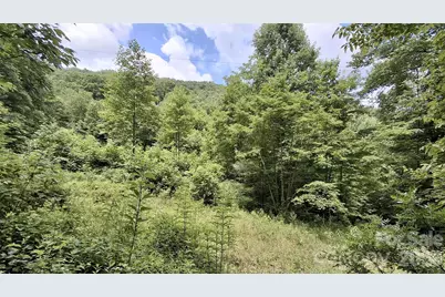 0 Dry Creek Road, Robbinsville, NC 28771 - Photo 3