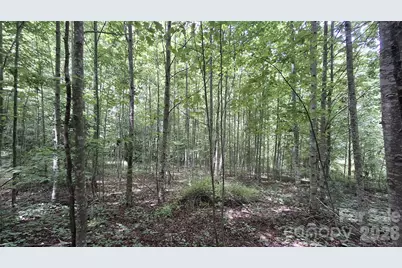 0 Dry Creek Road, Robbinsville, NC 28771 - Photo 7