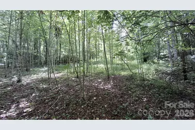 0 Dry Creek Road, Robbinsville, NC 28771 - Photo 17