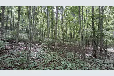 0 Dry Creek Road, Robbinsville, NC 28771 - Photo 5
