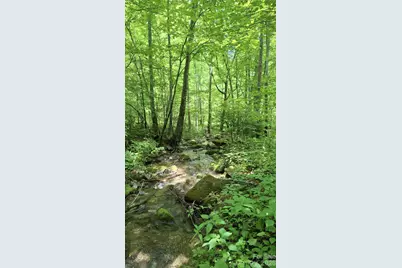 0 Dry Creek Road, Robbinsville, NC 28771 - Photo 11