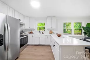 1335 Little Mountain Rd, Columbus, NC 28722 - Photo 9