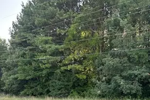 Lot 1 Mathis Church Rd, Catawba, NC 28609 - Photo 1