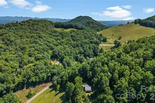 2879 Chandler Creek Rd, Mars Hill, NC 28754 - Photo 3