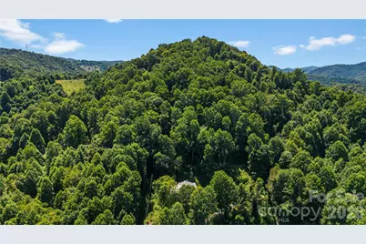 2879 Chandler Creek Road, Mars Hill, NC 28754 - Photo 33