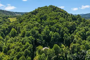 2879 Chandler Creek Rd, Mars Hill, NC 28754 - Photo 33