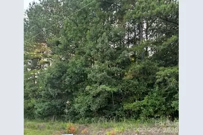 Lot 2 Mathis Church Road, Catawba, NC 28609 - Photo 1