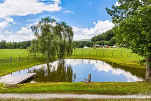 280 Walnut Hollow Rd, Brevard, NC 28712 - Photo 43