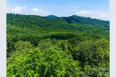 58 Mountain Grove Lane, Fletcher, NC 28732 - Photo 19