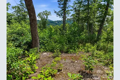 58 Mountain Grove Lane, Fletcher, NC 28732 - Photo 23