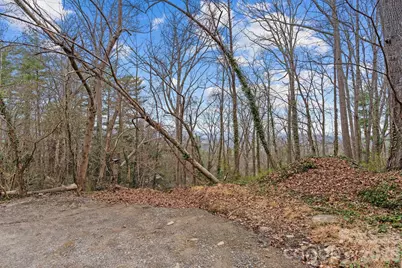 99999 Sunset Drive, Asheville, NC 28804 - Photo 5