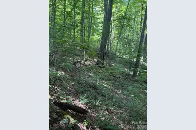 106 Avalon Gap Trail, Waynesville, NC 28785 - Photo 5