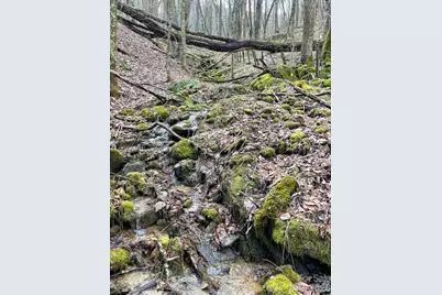106 Avalon Gap Trail, Waynesville, NC 28785 - Photo 11