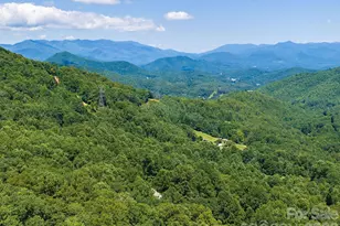 1572 Brushy Fork Rd, Sylva, NC 28779 - Photo 29