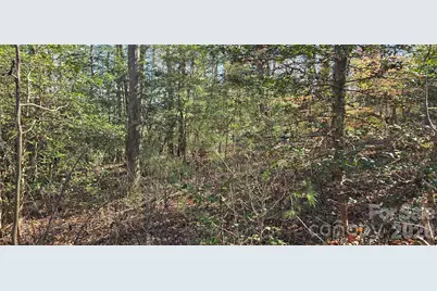 000 Peak Place NW, Lenoir, NC 28645 - Photo 19