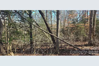 000 Peak Place NW, Lenoir, NC 28645 - Photo 3