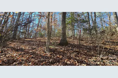 000 Peak Place NW, Lenoir, NC 28645 - Photo 11