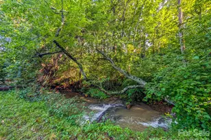 172 Lower Browns Creek Rd, Burnsville, NC 28714 - Photo 29