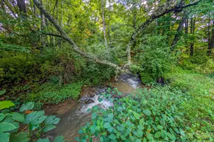 172 Lower Browns Creek Rd, Burnsville, NC 28714 - Photo 27