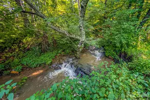 172 Lower Browns Creek Rd, Burnsville, NC 28714 - Photo 7