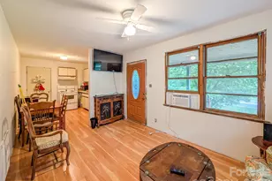 172 Lower Browns Creek Rd, Burnsville, NC 28714 - Photo 11