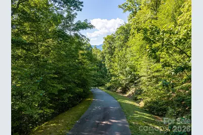 1043 Moss Creek Lane #69, Swannanoa, NC 28778 - Photo 3