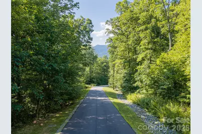 1043 Moss Creek Lane #69, Swannanoa, NC 28778 - Photo 23