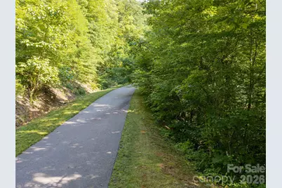 1043 Moss Creek Lane #69, Swannanoa, NC 28778 - Photo 5