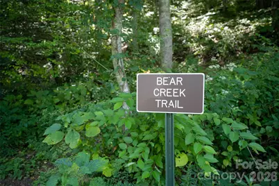 1043 Moss Creek Lane #69, Swannanoa, NC 28778 - Photo 17