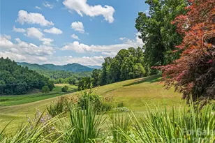 910 California Creek Rd, Mars Hill, NC 28754 - Photo 23