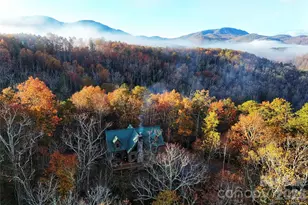 3815 Bat Cave Rd, Old Fort, NC 28762 - Photo 3