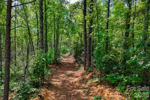 3815 Bat Cave Rd, Old Fort, NC 28762 - Photo 43