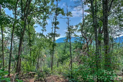 3815 Bat Cave Road, Old Fort, NC 28762 - Photo 39