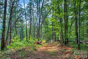 3815 Bat Cave Rd, Old Fort, NC 28762 - Photo 41