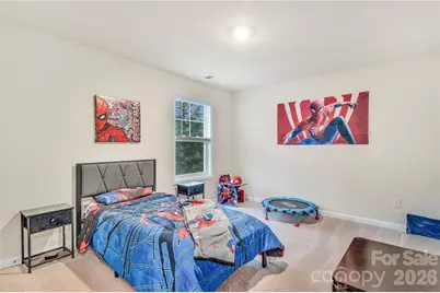 4849 Tacoma Drive, Fort Mill, SC 29707 - Photo 27