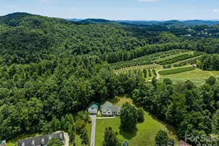 176 Chelsea Nix Ln, Hendersonville, NC 28792 - Photo 35
