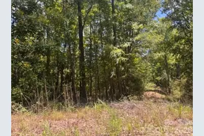 00 Nope Lane, Lancaster, SC 29720 - Photo 3