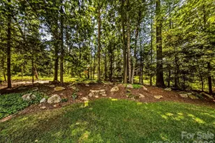 4 Hemlock Rd, Asheville, NC 28803 - Photo 47