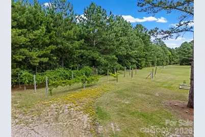 853 Nancys Place, Chester, SC 29706 - Photo 29