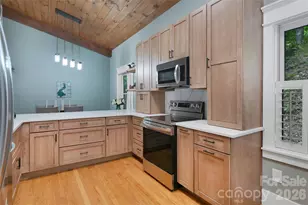 2 Duya Ct, Brevard, NC 28712 - Photo 21